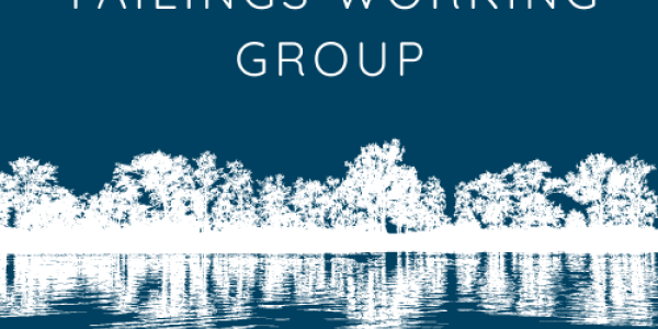 South African Tailings Working Group logo